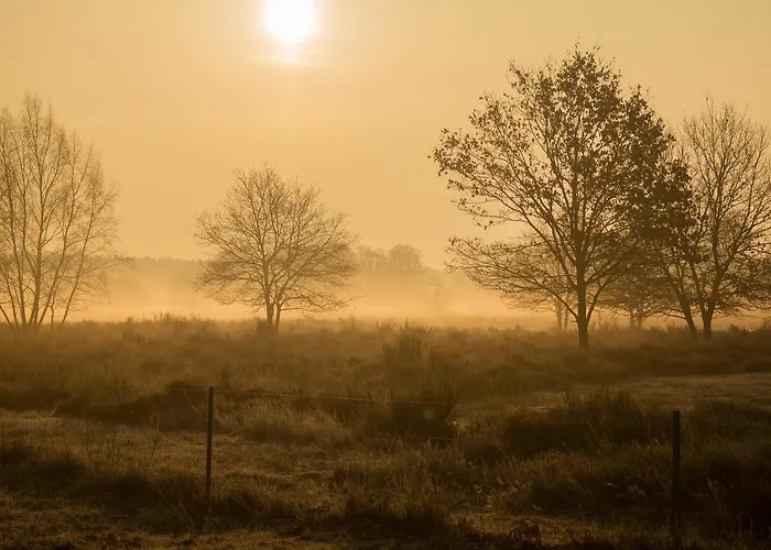 Bed & Breakfast De Vrolijcke Bosmuis