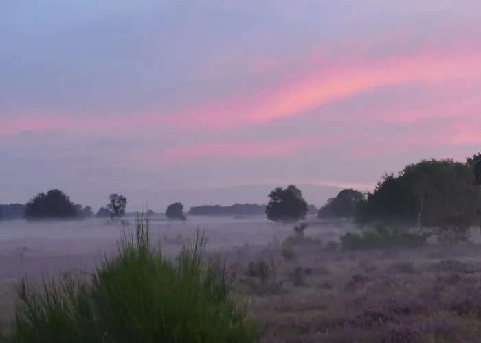 Bed & Breakfast De Vrolijcke Bosmuis Bergeijk