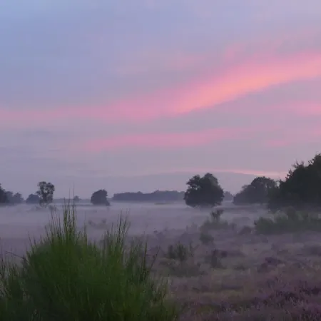 Bed & Breakfast De Vrolijcke Bosmuis Bergeijk