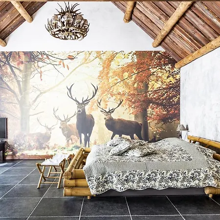 Bed & Breakfast De Vrolijcke Bosmuis 4*