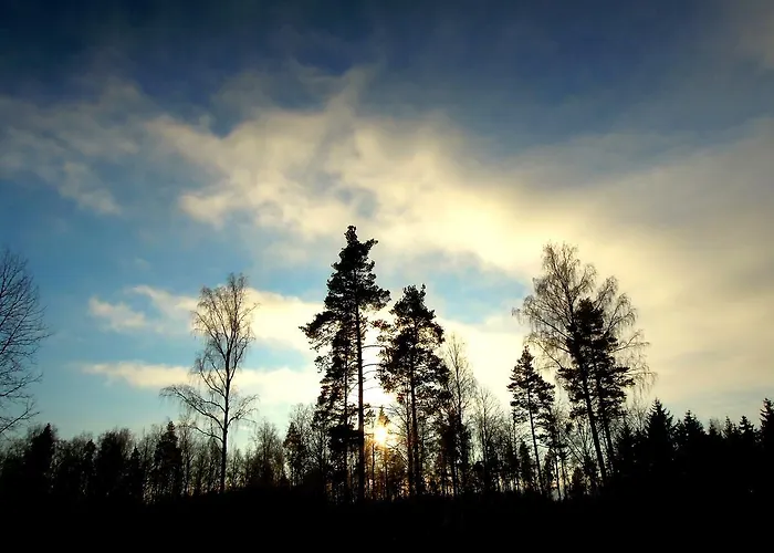 De Vrolijcke Bosmuis Bed & Breakfast 4*