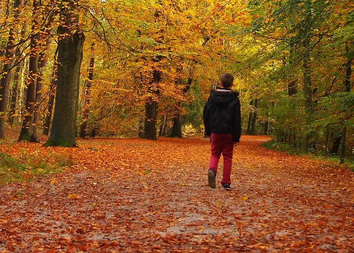 De Vrolijcke Bosmuis 4*