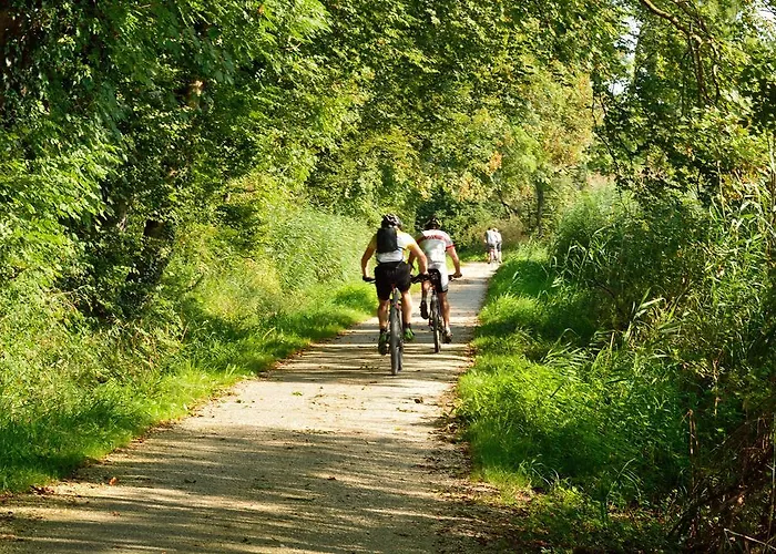 De Vrolijcke Bosmuis Bed & Breakfast Bergeijk